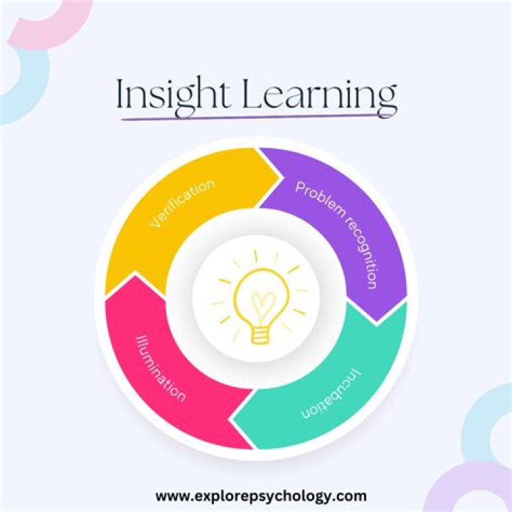 A World Of Insight And Inspiration