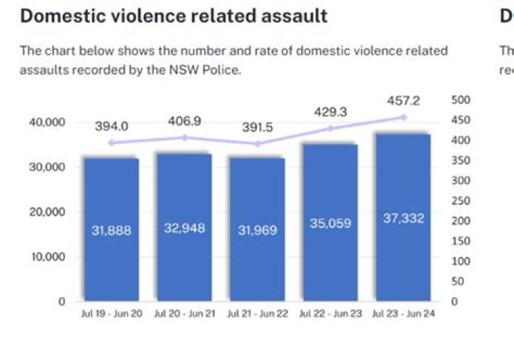 Arrest And Domestic Violence Allegations