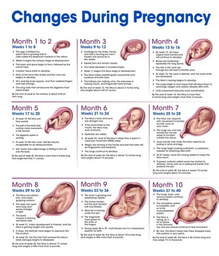Brianna Keilar's Pregnancy Journey: Uncovering Surprising Truths
