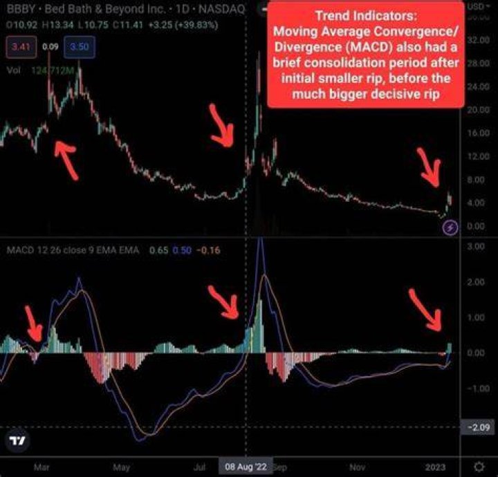 Technical indicators pointing 'overly bearish' BTIG's Katie Stockton