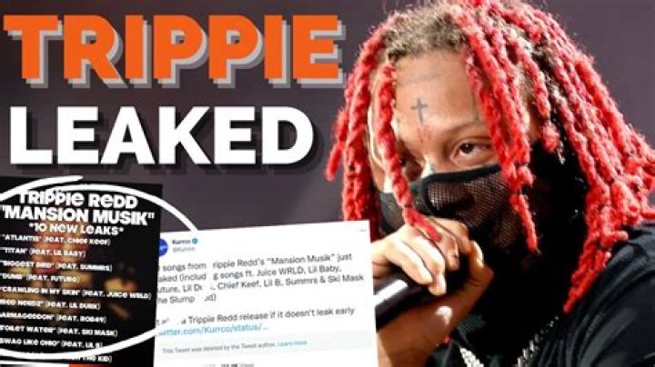 Trippie Bri Of Leak Discoveries And Insights